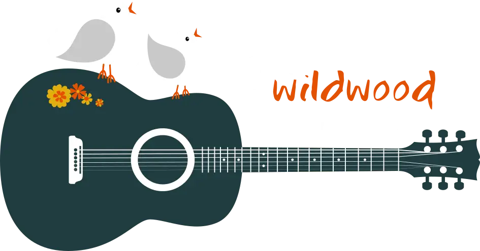 The Wildwood Flowers groupe Folk